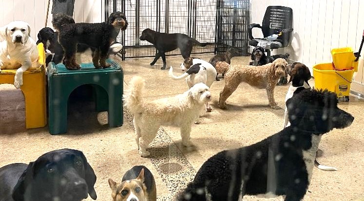 This image has an empty alt attribute; its file name is expressive-look.jpg